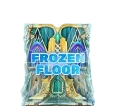 Bonus Frozen Floor